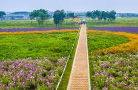 中國(guó)花木之都